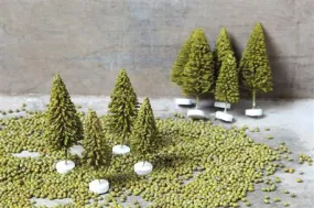 Mini Evergreen Trees