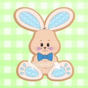 Plush Gingham Bunny Boy