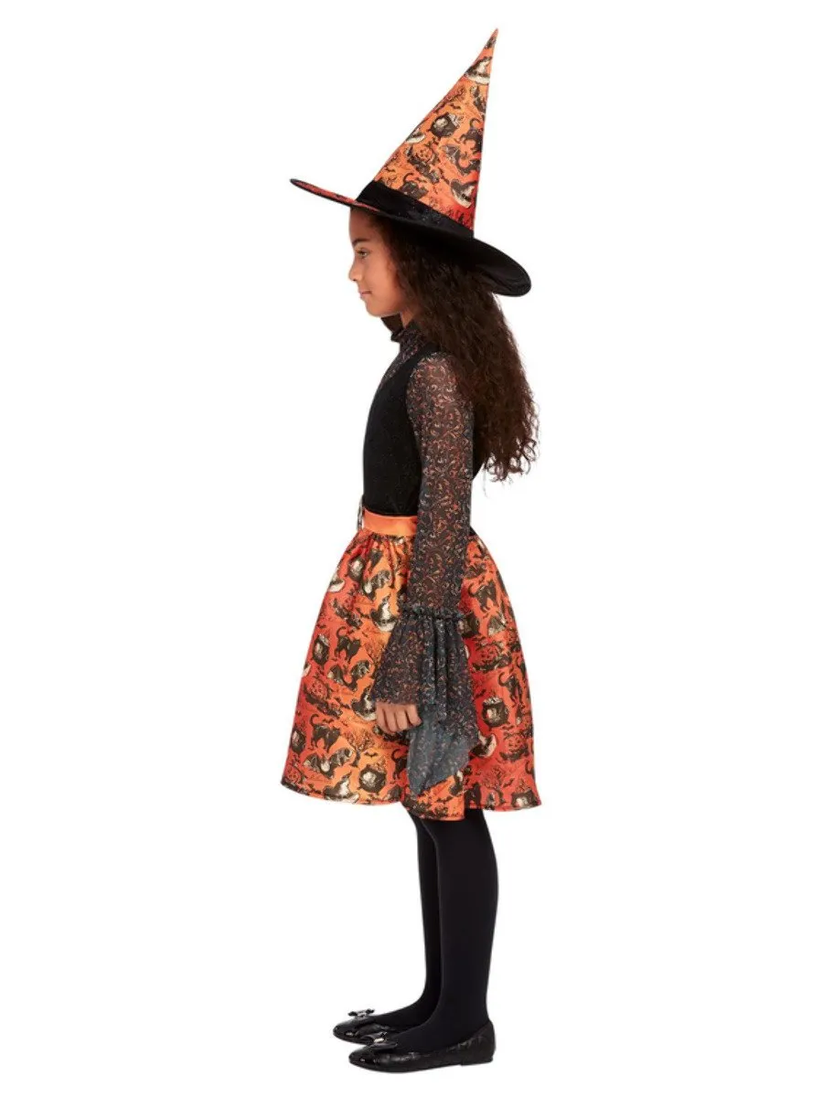Vintage Witch Costume
